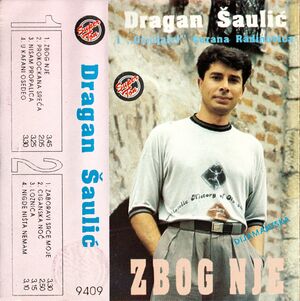 Dragan Šaulić Zbog NjeFront1.jpg